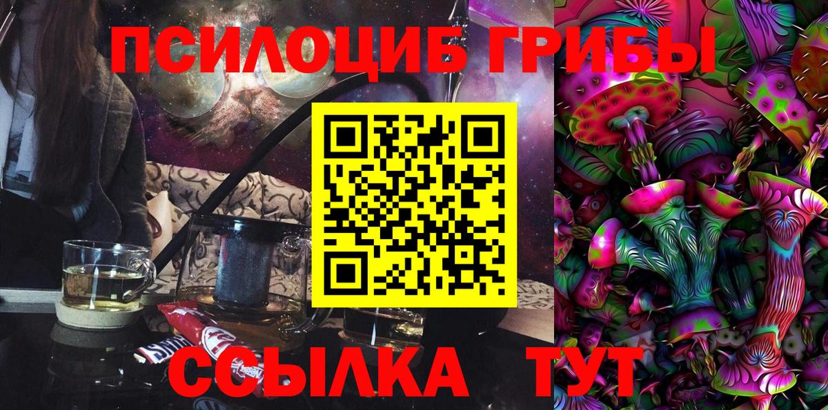 Псилоцибиновые грибы Cubensis Южноуральск