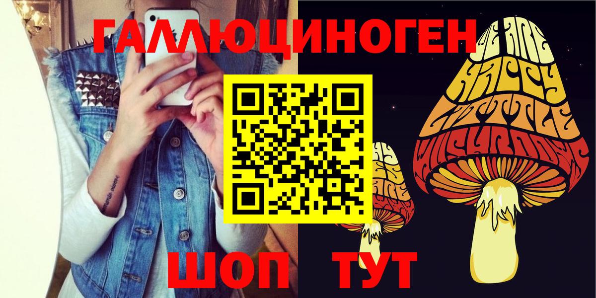 Галлюциногенные грибы Psilocybe  Вход с VPN  Псилоцибиновые грибы мицелий  Южноуральск 